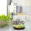Glass Terrarium Mini Landscape Ecosystem Moss Plant Vase Bottle Planter Container Decor Home Office Garden Patios Creative Gifts 5