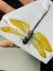 Thai Amber Dragonfly Specimen Gorgeous Ambragaeana Ambra True Insect Beetle Material Protozoa Home Decoration Accessories 3