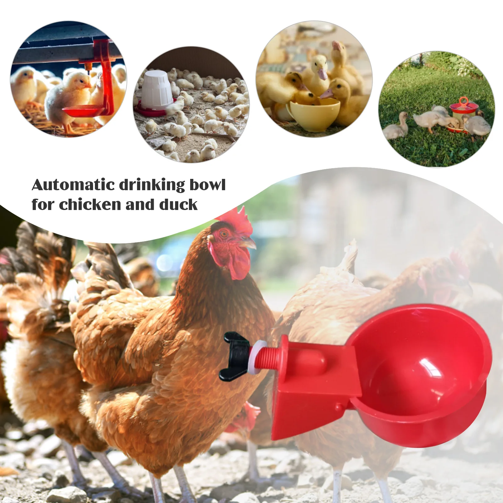 6Pcs Chicken Drinker Cup Kit Waterproof Automatic Livestock Feeding Watering Supplies Farm Animal Drinking Water Feeder