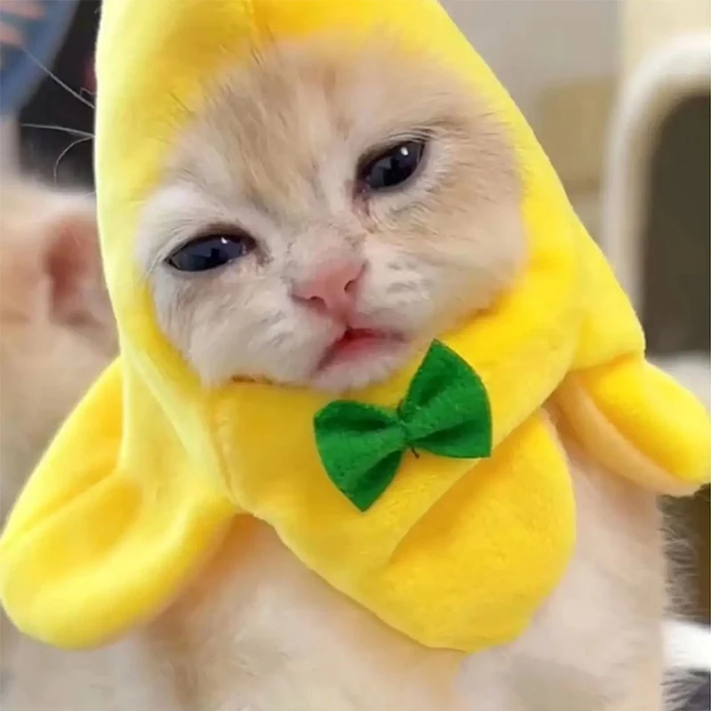 바나나 고양이 머리 커버, 창의적인 귀여운 고양이 반다나, 반려동물 머리 장식, 봉제 고양이 코스프레 의상, 바나나 머리 장식, 공연 사진 소품
