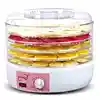 250W POWER 5 LAYERS FOOD DRYER  Dry Machine Fruits and Vegetables Dehydration Drying Machine Pet Food 1