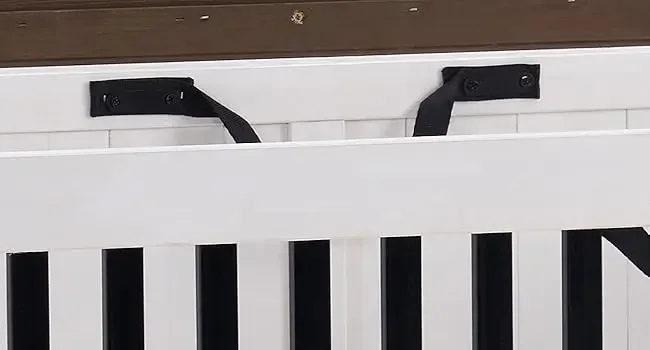 dog kennel