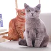 Plush Realistic 3D Cat Doll Cartoon Stuffed Simulation Cat Plushie Pillow Kawaii Soft Plush Animals Toy Cushion for Kids Girls 2