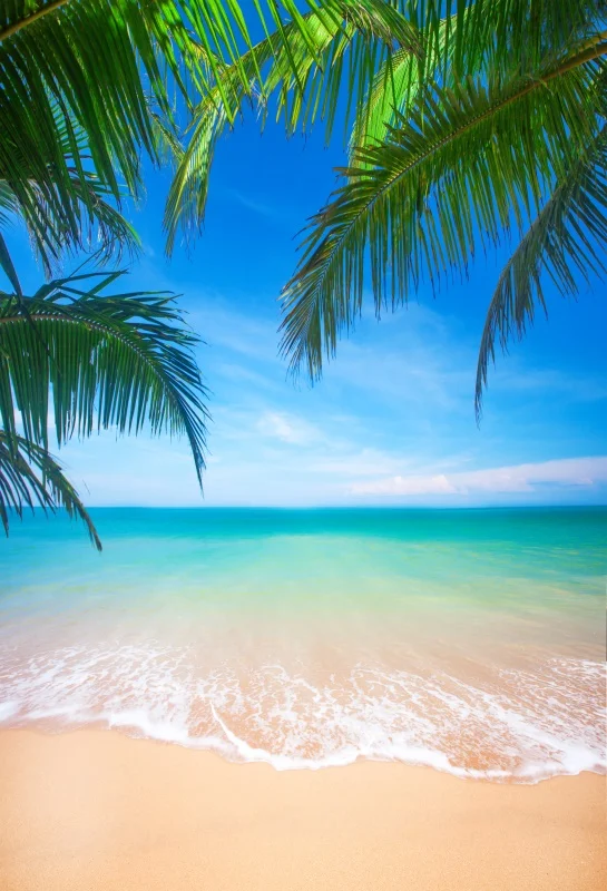 Laeacco  ٴ ĵ غ ,  ް, ڿ   ,  Ʃ  
