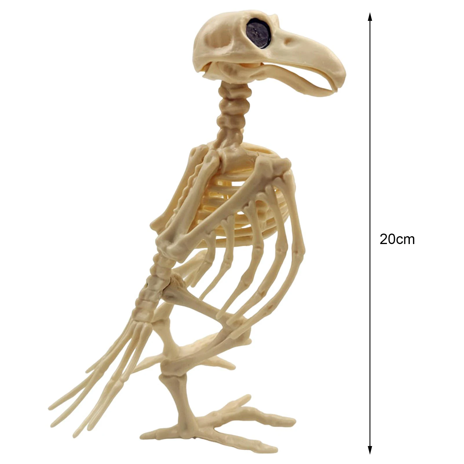 Halloween Decoration Skeleton Dog, Skeleton Animal Plastic Puppy with Posable Joints for Halloween Outdoor Indoor Decoration, Haunted Hoe Spooky Scene Party Favors Decor