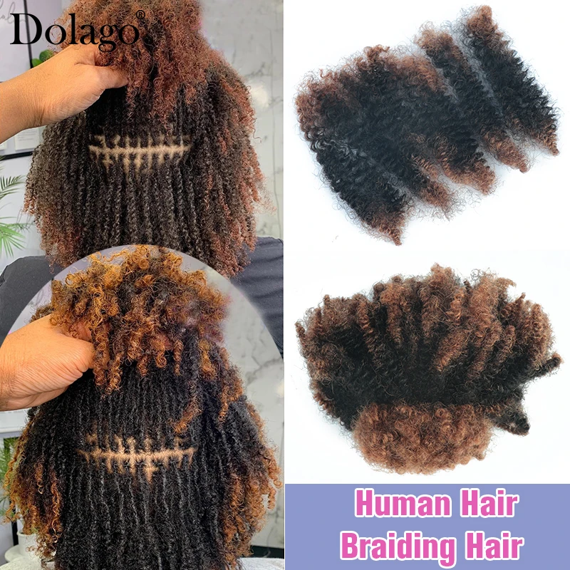 Extensions de cheveux afro crépus bouclés pour tressage, cheveux humains, microlocs en vrac, tresses au crochet brunes, document ombré, 4C