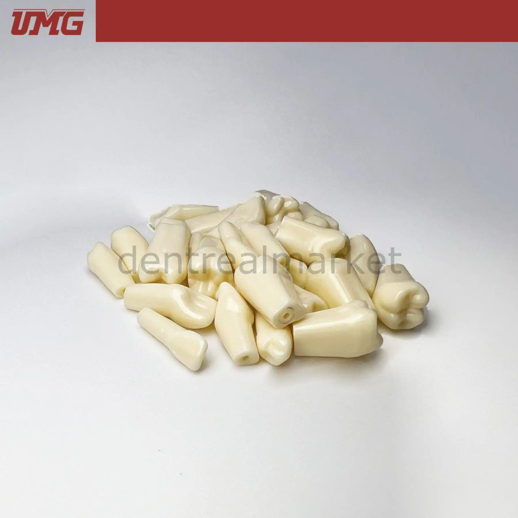 

UMG Dental - UM-C4 Permanent Teeth With Straight Roots