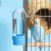 Bird Water Feeder Automatic Drinking Fountain Transparent Container Pet Parrot Hanging Food Dispenser Bird Supplies 2
