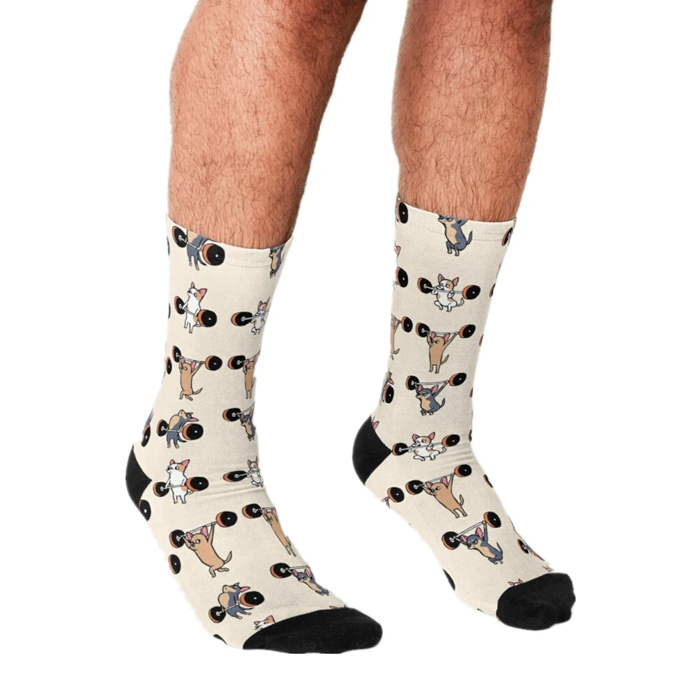 

Men's Funny socks Lifting Chihuahua Cartoon Socks harajuku Men Happy hip hop Novelty cute boys Crew Casual Crazy Socks for men