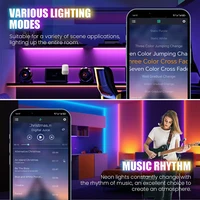 WIFI Bluetooth RGB Neon LED Strip 5m 10m 20m 30m Light 24V 24key 44key Remote Control EU US UK AU Power Kit 60LED/m Waterproof - Image 5