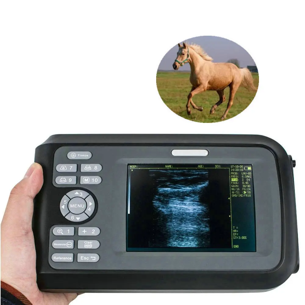 Рисунок 4 - FarmScan V8 Ветеринарный ультразвуковой