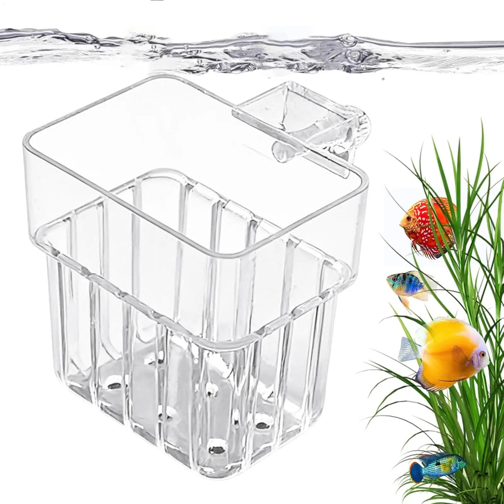 Transparent Hangable Aquarium Plant Holder for Indoor Hydroponic Cultivation