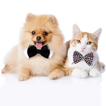 Adjustable Pet Bowtie Collar 4