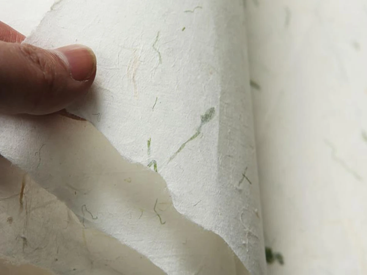 10pc Various Color Dragon-Clouds Xuan Rice Paper Chinese Ink Brush Painting Calligraphy Sumi-e