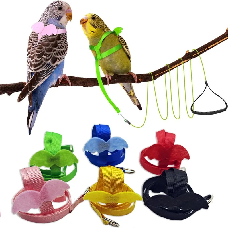 Parakeet Pet Bird Supplies Parakeet Care Sheet PetMD