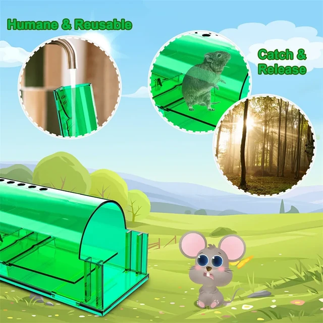 Humane Mouse Trap - Live Traps for Indoor Use - Non-Kill and Pet Safe - Reusable and Eco-Friendly - Catch and Release Mouse Trap - Green