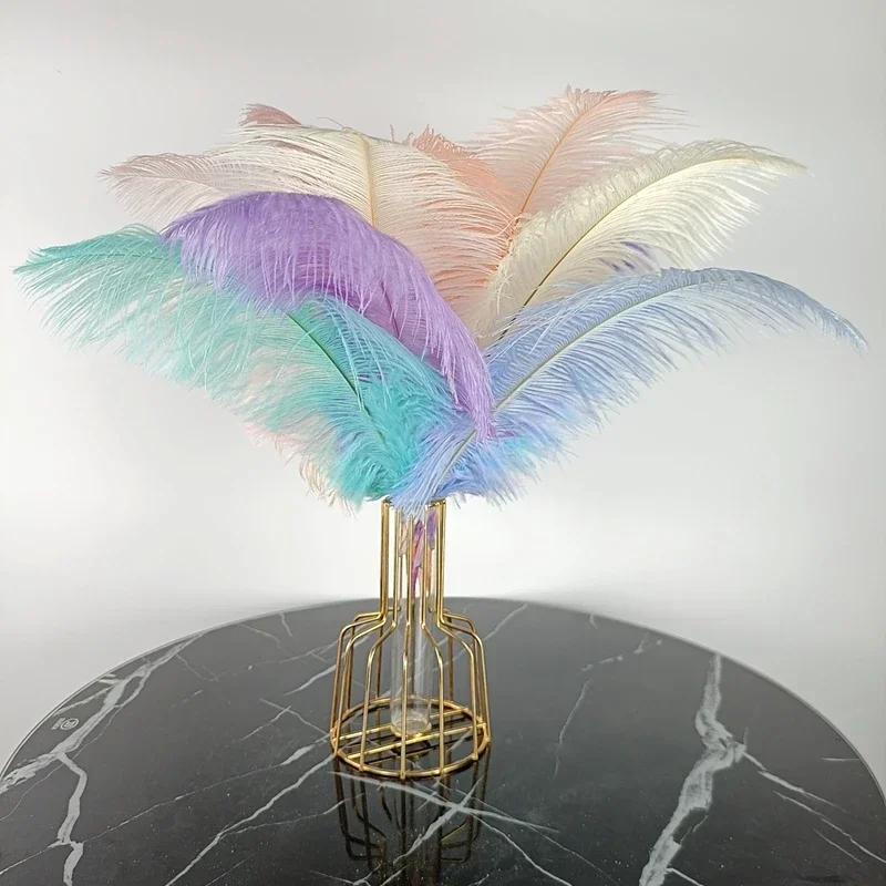 Ostrich Feathers Mixed Color Feathers Craft Feathers Natural Feathers New Colored Ostrich Feathers for Crafts 10Pcs/Lot
