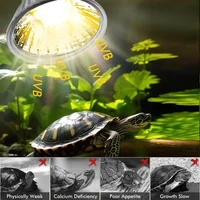 25/50/75W Reptile Heating Light Bulb Turtle Lizards Pet Growth Heat E27 Lamp Bulb UV Light Bulbs Heating Light for Amphibians 2