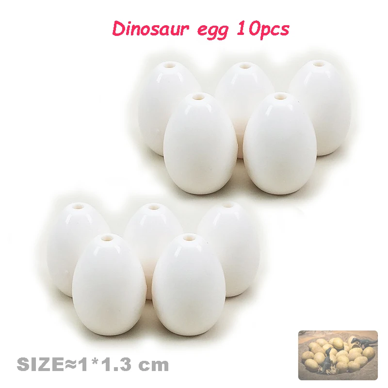 10pcs egg