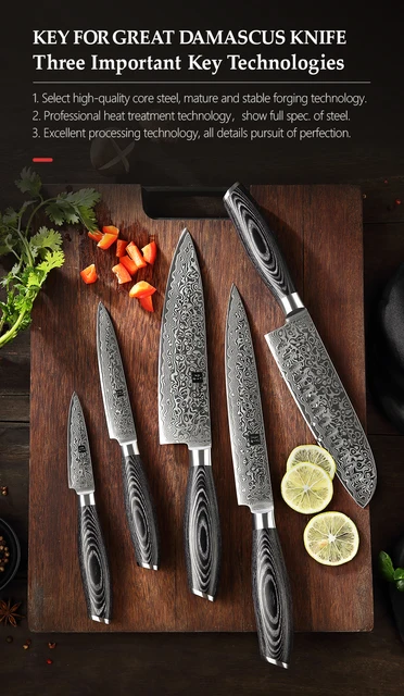 XINZUO 5-piece Damuscus Kitchen Knife Set,67 Layer Hand Forged Damascus  Steel Professional Chef Knife Set with Gift Box, G10 Black Handle,Razor