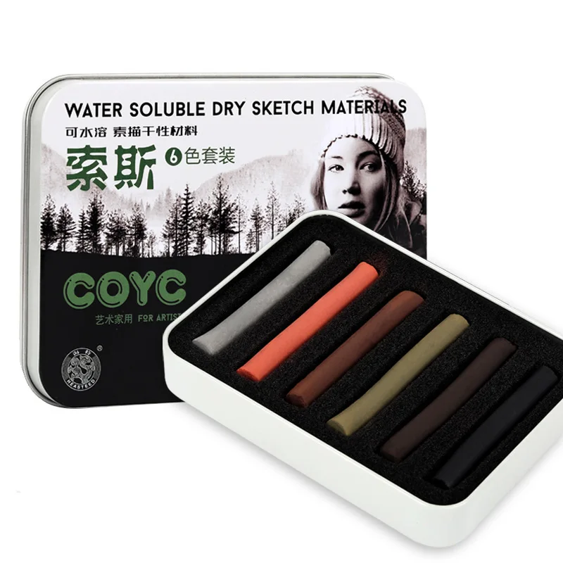 6pcs Sketching Dry Powder Water-soluble Charcoal Sticks Dual Use of Dry and Wet Artist Painting Art Charcoal Pencils
