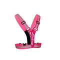 LED Pink