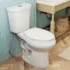 19 Inch Tall Toilets, Extra High Toilets with Comfort Chair Height Seat, 1.1/1.6 GPF Dual Flush Two-Piece Toilet, 12" Rough In 1