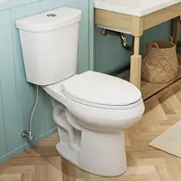 19 Inch Tall Toilets, Extra High Toilets with Comfort Chair Height Seat, 1.1/1.6 GPF Dual Flush Two-Piece Toilet, 12" Rough In 1