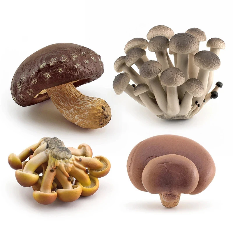 Simulation Mushroom Artificial Fungus Matsutake Oyster Figurines Fairy Garden Model Early Education Teaching Toys Home Decor food model