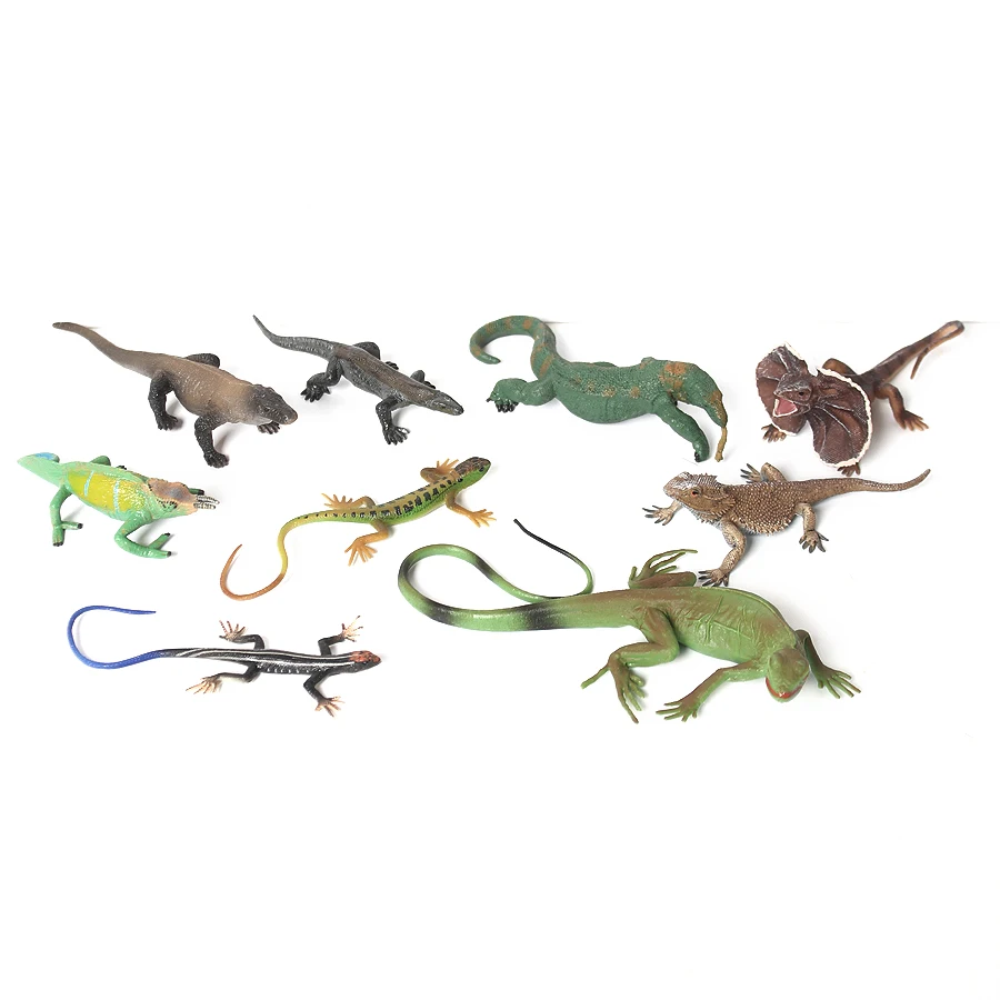 Realistico dipinto a mano animali anfibi modello Komodo drago barbuto drago  camaleonte lucertola figurina educativa per bambini - AliExpress, image size:900x900