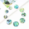 10PC Real New Zealand Abalone Shell Sparkling Round 2-hole Flatback Button Spacer Pendant Scrapbook Apparel Sewing Embellishment 5