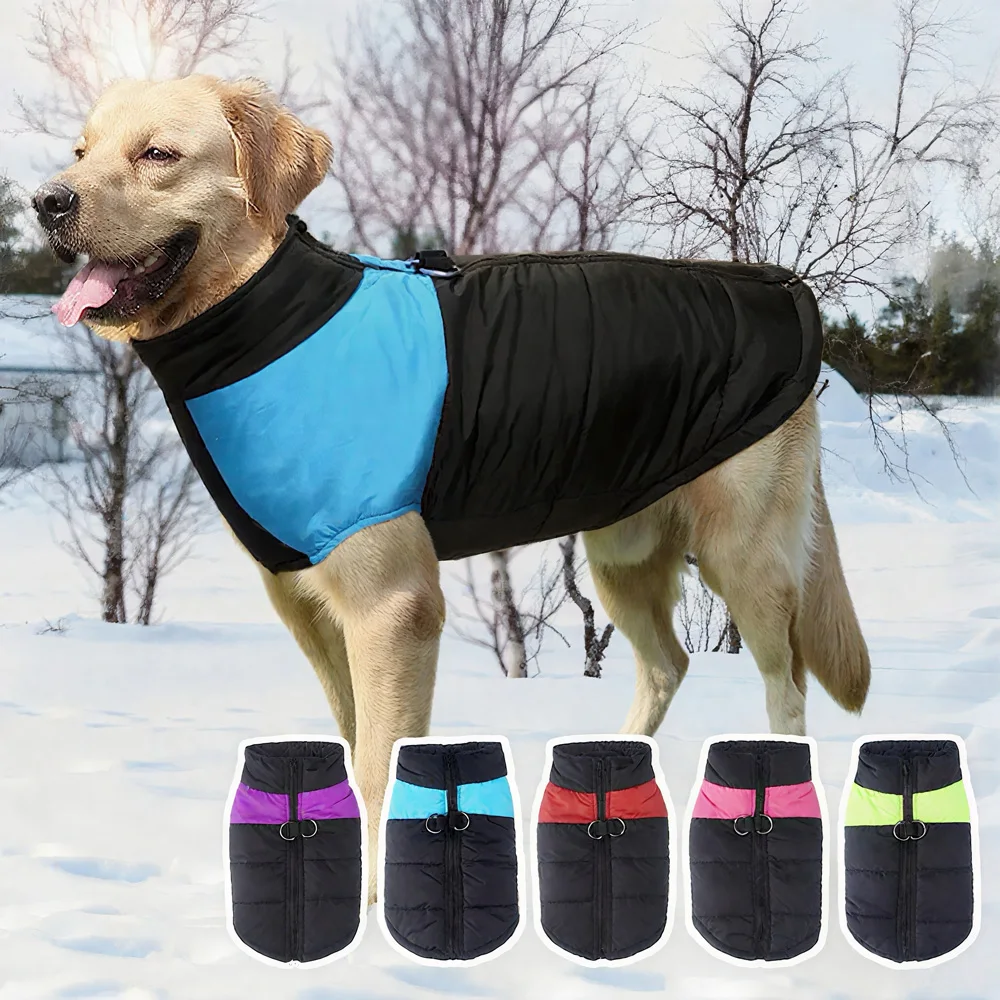 Waterproof Winter Dog Jacket 1