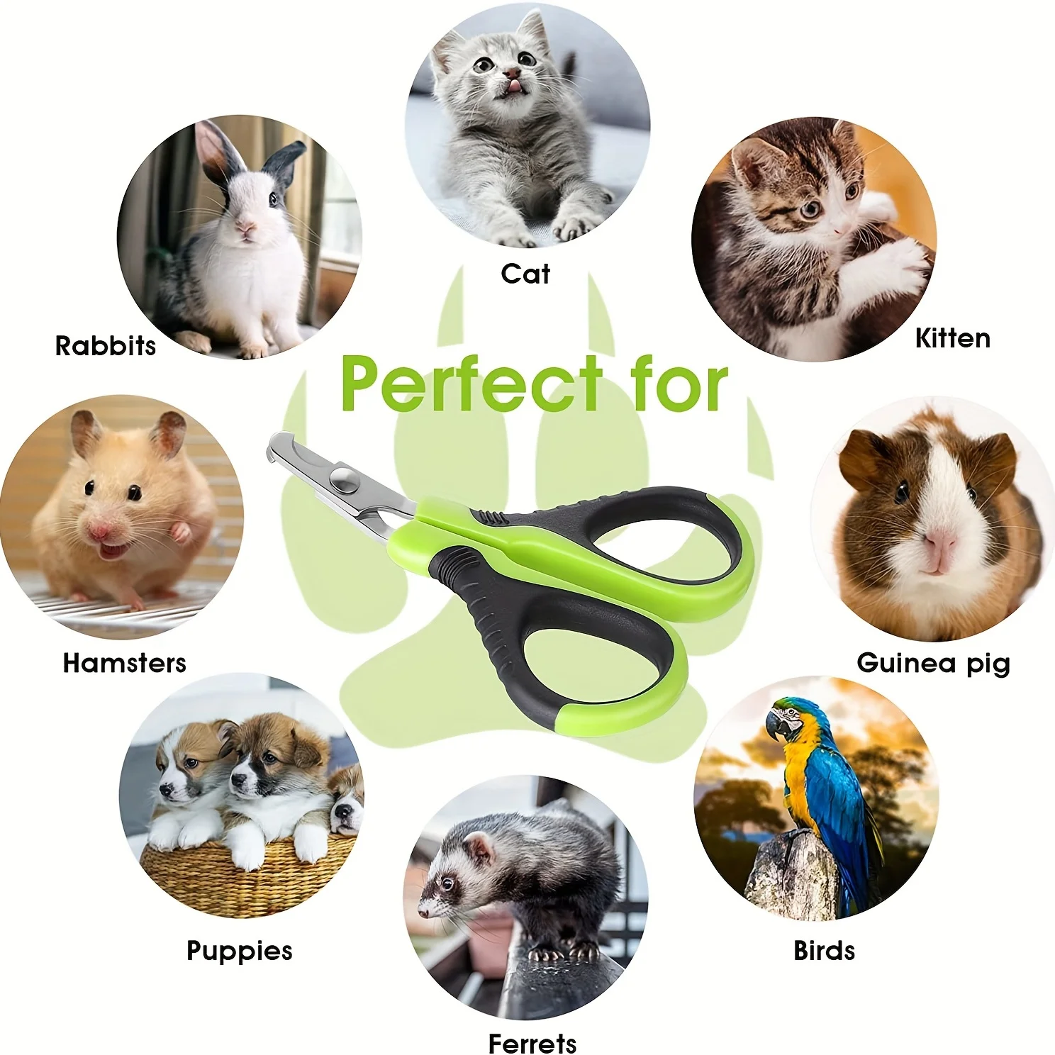 Pet Nail Clippers Are Small, Safe, and Easy To Use Cat and Dog Claw Nail Trimmers That Prevent Excessive Cutting Tearing