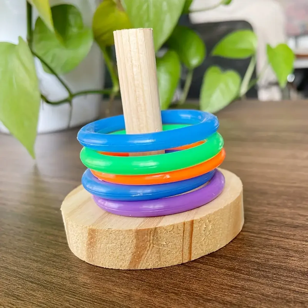 1pc Bird Training Ring Toy Parrot Educational Toys Training Interactive Bird Supplies Toys Random Color игрушки для попугае