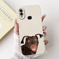 Case-c20