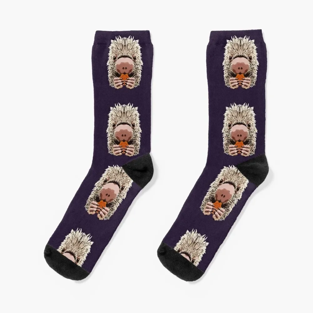 Prehensile Tailed Porcupine Socks Crossfit FASHION compression Boy Socks Women's