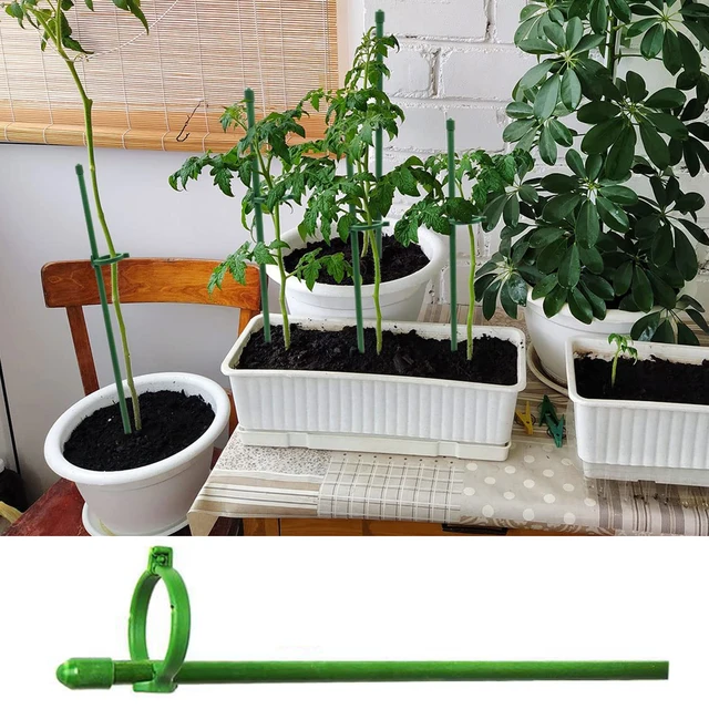 Növénytáblák Zöld Állítható Kerti Egy Szárú Növényi Tartó Tét Botok Gyűrűkkel Virágok Paradicsoma - Image 3