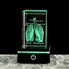 3D laser engraving crystal lung model hospital teaching props to give medical students human respiratory organ paperweights 4