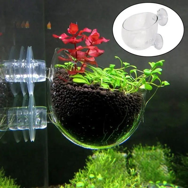 Aquarium Plant Pot Glass Cylinder Cup With Suckers Aquatic Plant Cup Decorative Supplies For Cultivate Aquatic Seeds fish tank ornaments fish tank decorations aquarium ornaments