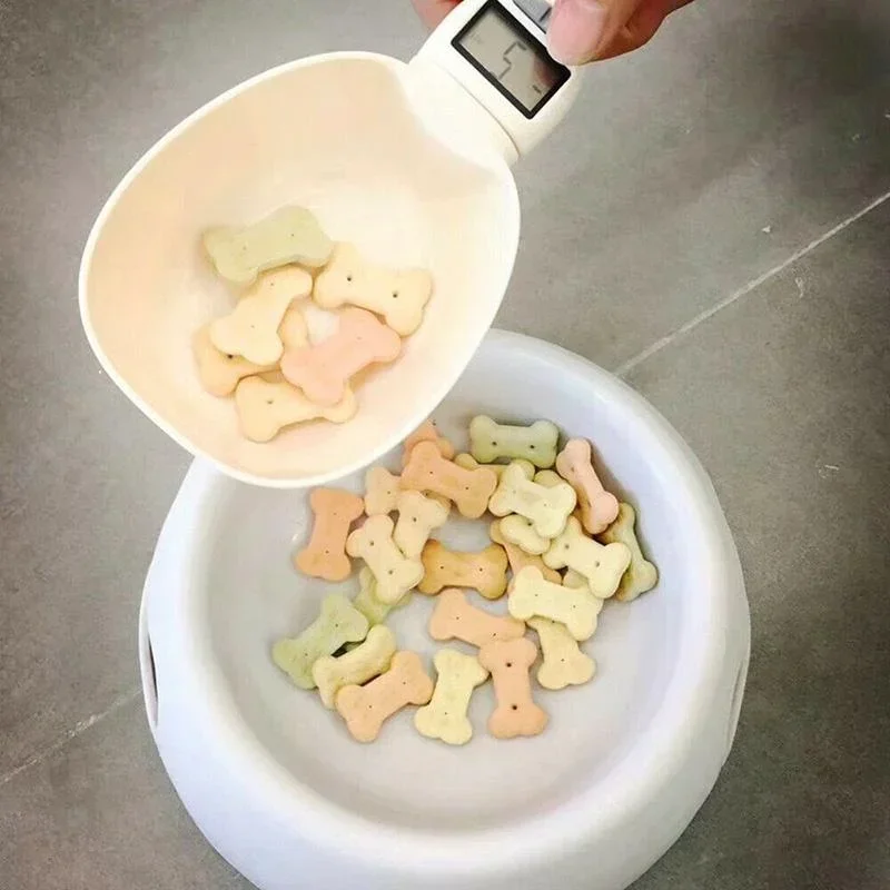 Slide image 1289c55a575f492dbdb12b843b1990ba