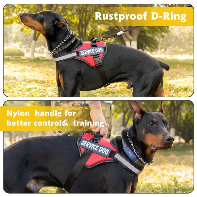 Chest Strap Dog Vest Harness Medium and Large Dog Border Collie Golden Hair Bucket Explosion proof Flushing Dog Harness 6