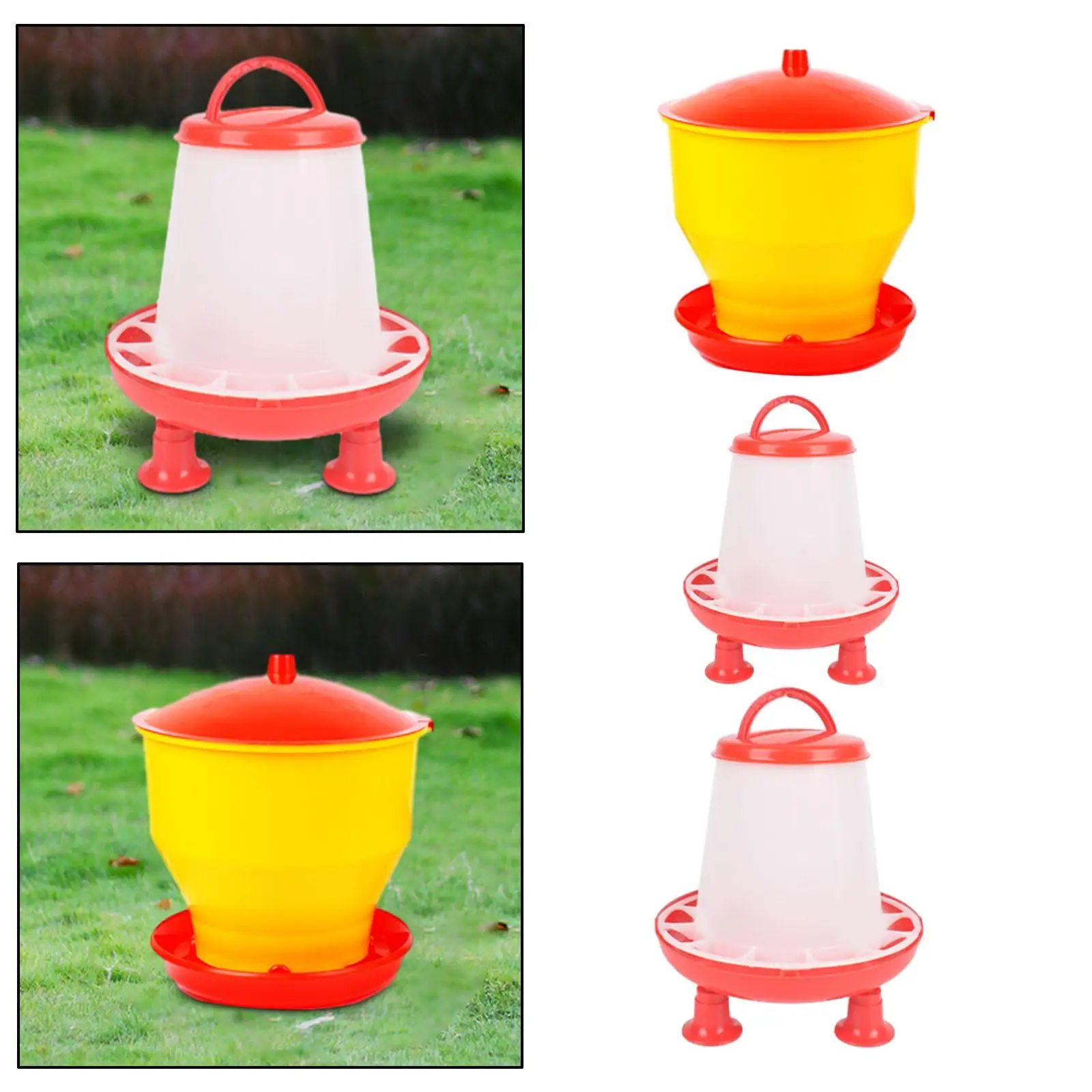 Chicken Feeder Chicken Water Feeding Bucket Auto Feeder Portable Bird Automatic Feeding Bucket for Pigeon Quail Budgie Hen Duck
