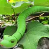 Simulation Remote Control Snake Toys For kids Compulsion Scary Induction Snake Reptile Electronic Prank Toy Holiday Parties gift 5