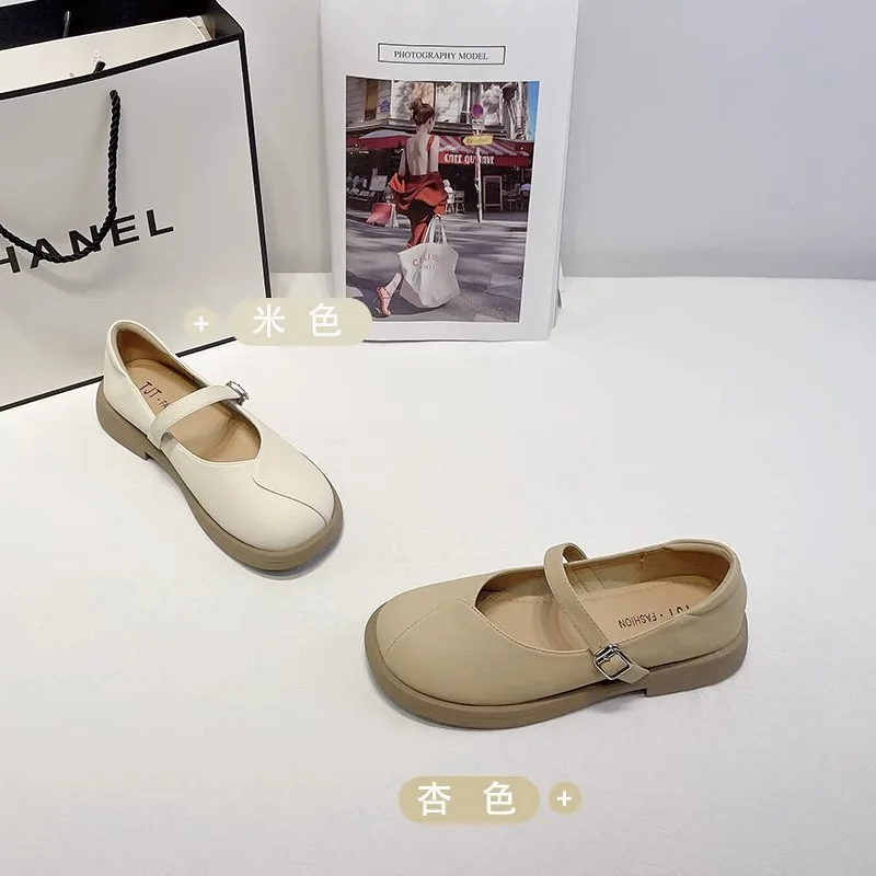 Spring and Autumn Straight Line Shoes with Shallow Mouth Slip-on Shoe Round Toe Soft Soled Thick Heel Shoes for Women