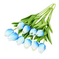 Image 14