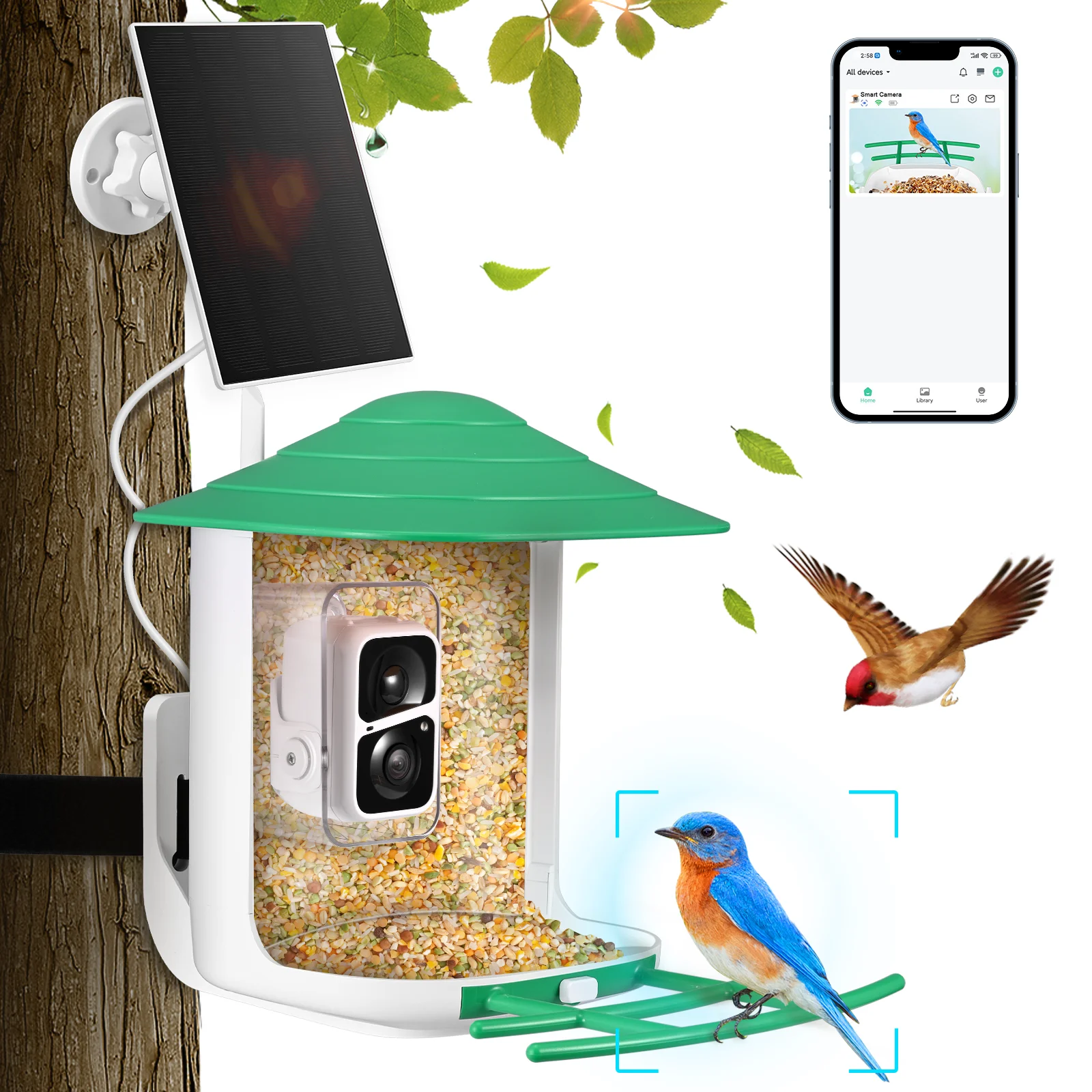

Smart Bird Feeder Camera,1080P HD Camera Auto Capture Bird Videos & Solar Panel, App Notify When Birds Detected