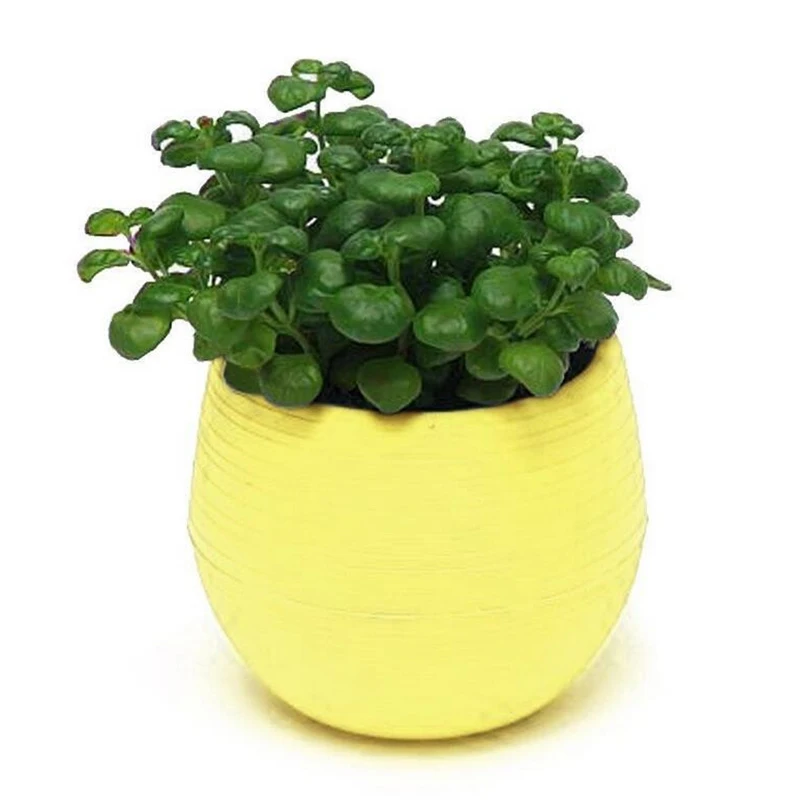 Mini Size 7*7cm Colorful Plastic Flower Planter Pots Home Office Desktop Garden Decor flower pot plant pot