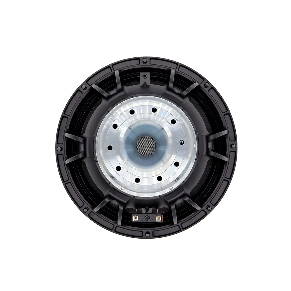 Hot Pro Sound 12 Inch Neodymium Subwoofer Speaker 2600W Big Bass For Car Bars Clubs Party