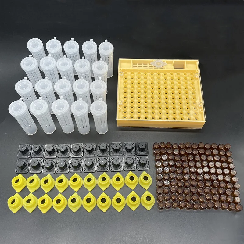 Beekeeping Tools Accessories Queen Bee Rearing System Kit 1SET