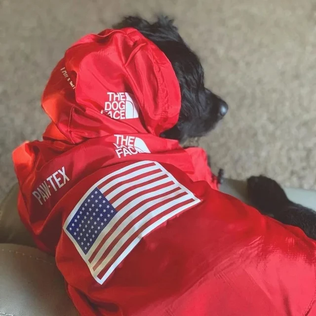 Windproof Dog Raincoat 5